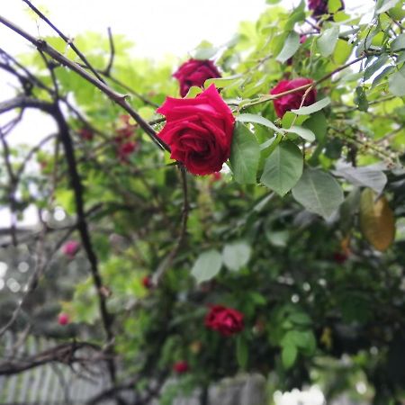 Villamelchiorre 1 Milano Ngoại thất bức ảnh