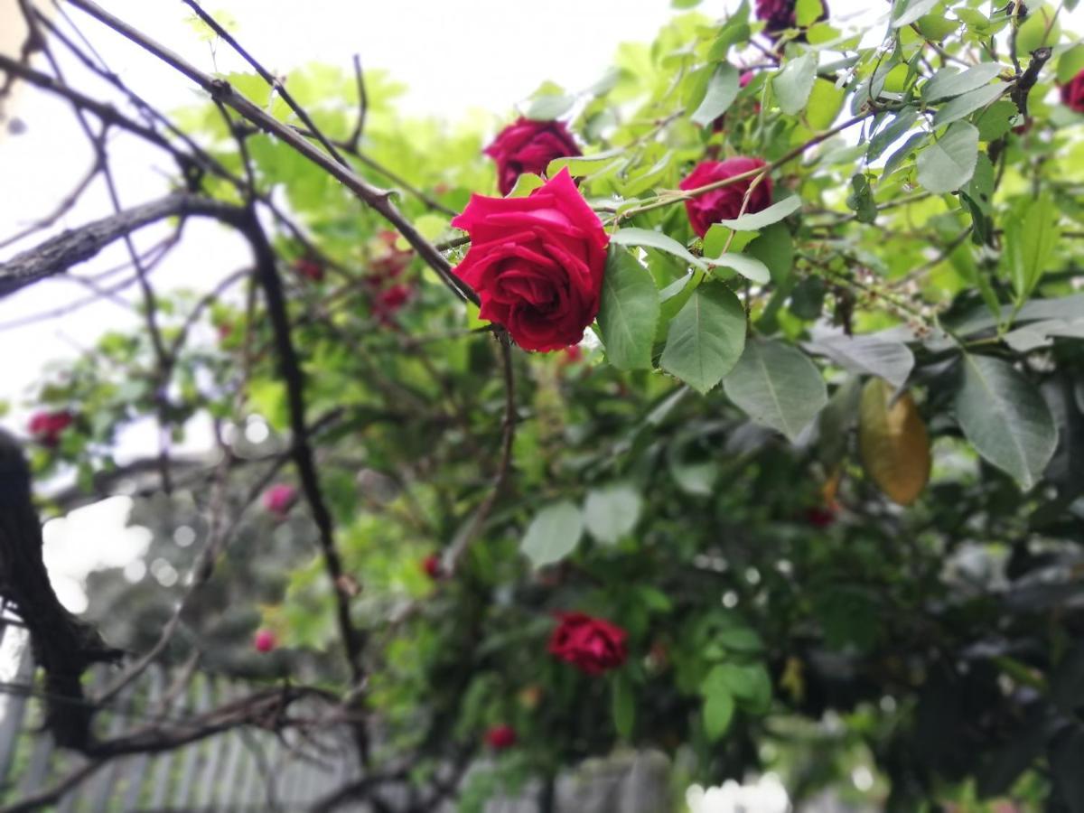 Villamelchiorre 1 Milano Ngoại thất bức ảnh